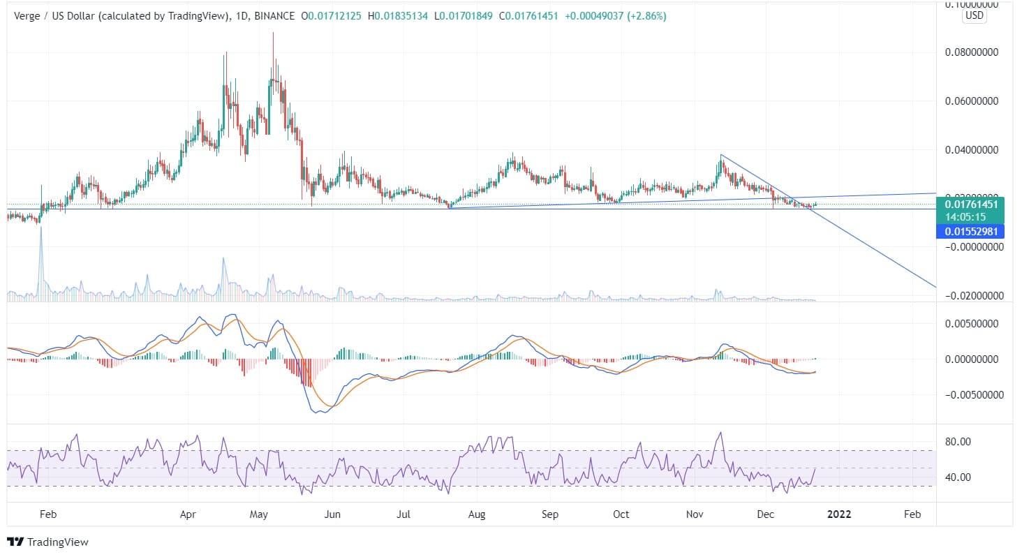 verge price analysis