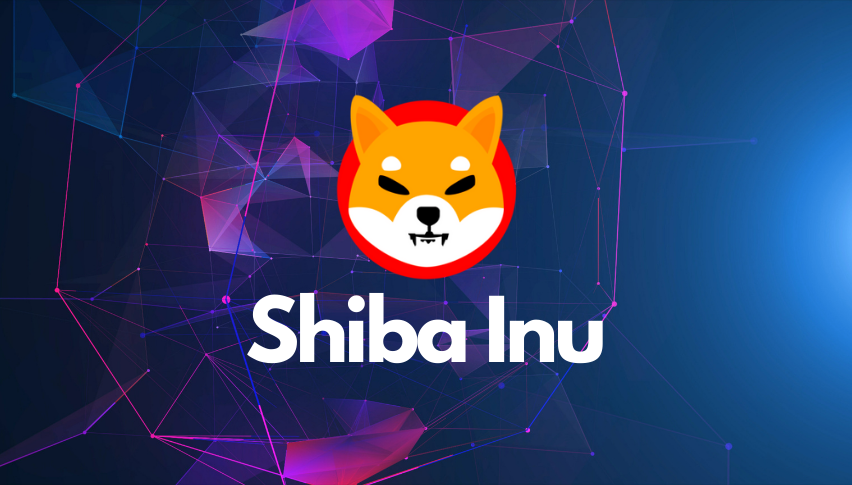 Shiba Inu coin price recovers slightly on hopes Shiba Inu coin price recovers slightly on hopes around Robinhood's SHIB listing