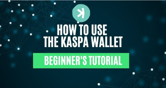 How to use the Kaspa Wallet
